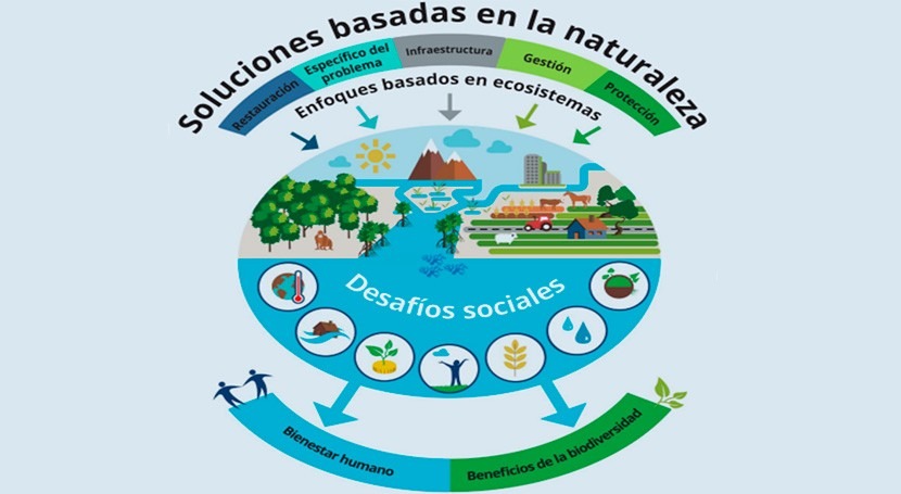 Soluciones basadas en la naturaleza